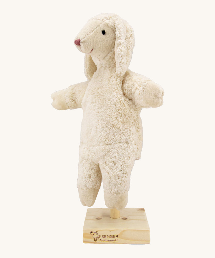 Senger Hand Puppet - White Sheep organic soft toy on a cream background.