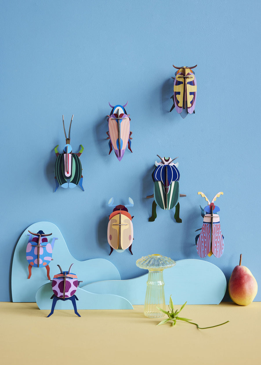 Studio Roof beetles and insects hung up on a blue coloured wall