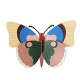 Studio Roof Big Giant Cepora Butterfly Cardboard Model