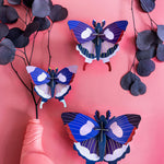 Studio Roof Big Swallowtail Butterflies Set of 3