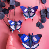 Studio Roof Big Swallowtail Butterflies Set of 3