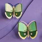 Studio Roof Fern Striped Butterflies Cardboard Model - 3 Pack