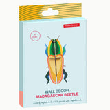 Coccinelle de Madagascar sur le toit du studio