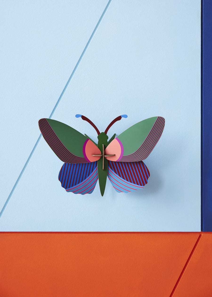 Studio Roof Medium Acacia Butterfly pictured on a blue wall