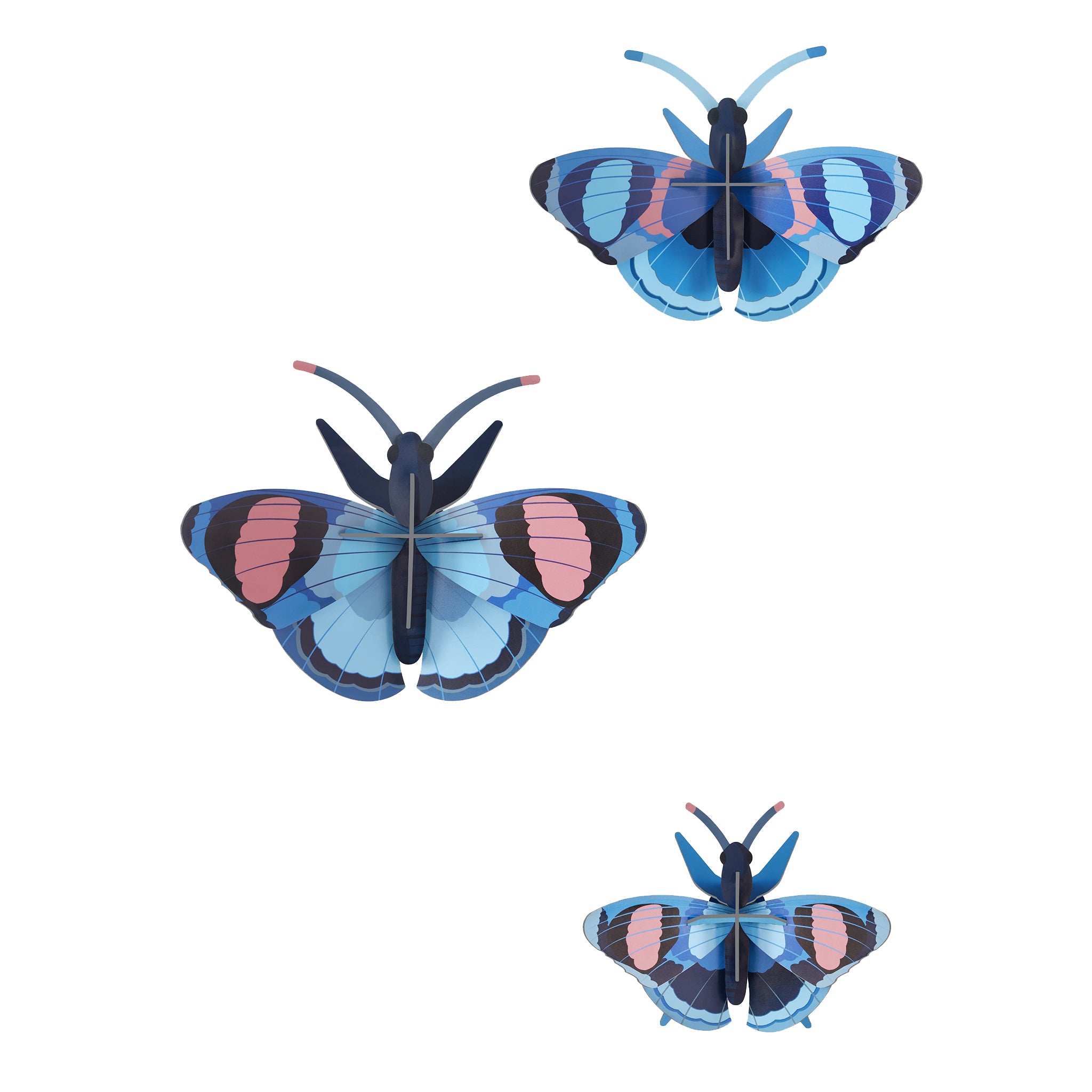 Studio Roof Peacock Butterflies Cardboard Model - 3 Pack, 3D Wall Art. Three beautiful Peacock Butterflies in shades of blues, and pink on a white background