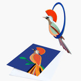 Toit du studio, carte pop-out, Paradise Birds Swinging Crowned Obi