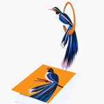 Studio ROOF paradise Bird pop out card in Swinging Flores design. Picture shows flat card and pre popped out bird on white background