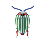 Studio Roof Rainbow Leaf Beetle