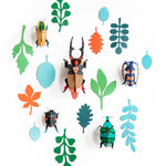 Studio Roof Wall of Curiosities - Beetle Antiquary