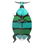 Studio Roof Weevil Beetle