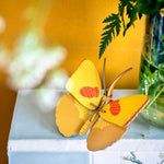 Studio Roof Yellow Butterfly