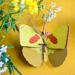 Papillon jaune sur le toit du studio