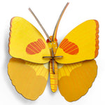 Papillon jaune sur le toit du studio