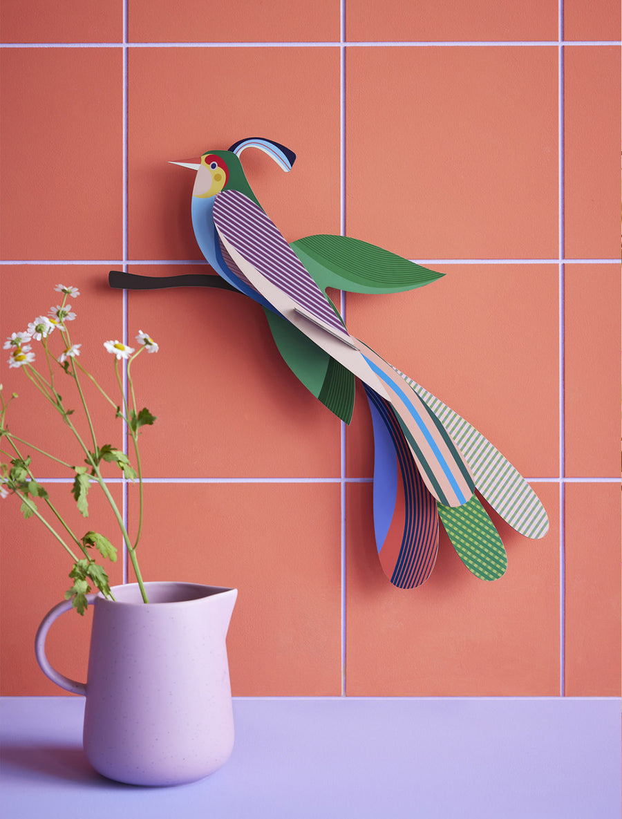 Tinjil and Maya bird of Paradise together on a green tiled background