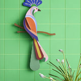 Studio Roof Paradise Bird Cardboard Model - Tinjil