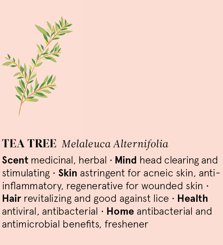 Infographic showing the main benefits of Tea Tree essential oil.