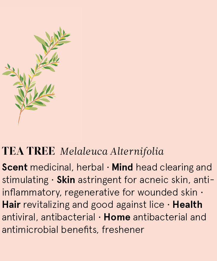 Infographic showing the main benefits of Tea Tree essential oil.