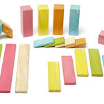 Tegu Tints 24 Piece Set