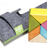 Tegu Tints 6 Piece Pocket Pouch