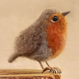 The Makerss - Small Robin Needle Felt Kit