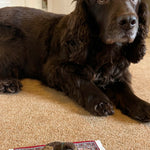 The Makerss - Little Dog On A Rug Needle Felt Kit