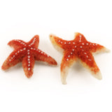 The Makerss - Small Starfish Needle Felt Kit