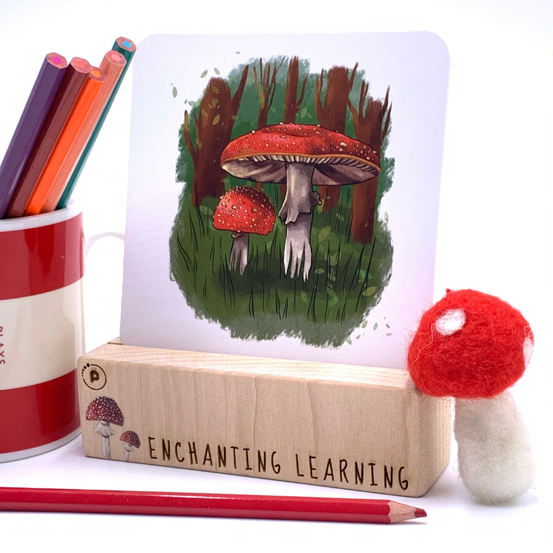 The Phive Enchanting Learning Card Stand with a card inside pictured next to coloured pencils and a felted toadstool