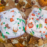 Tickle Tots AIO Nappy - Pumpkin