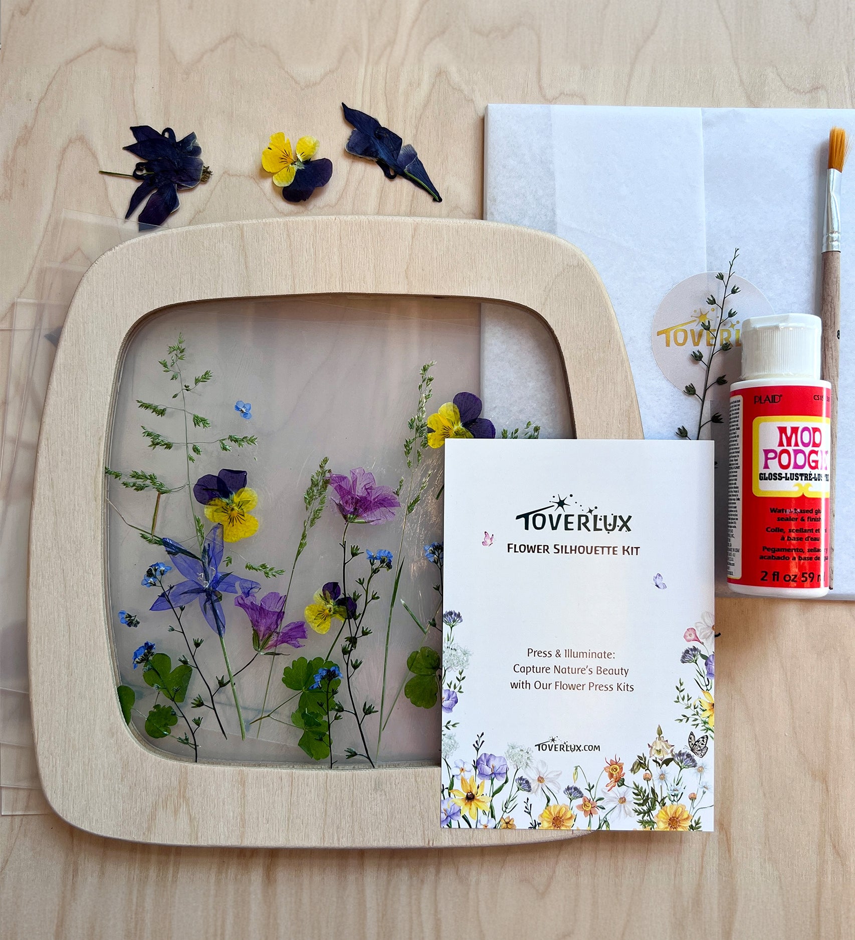 The contents of the Toverlux Flower Silhouette Kit