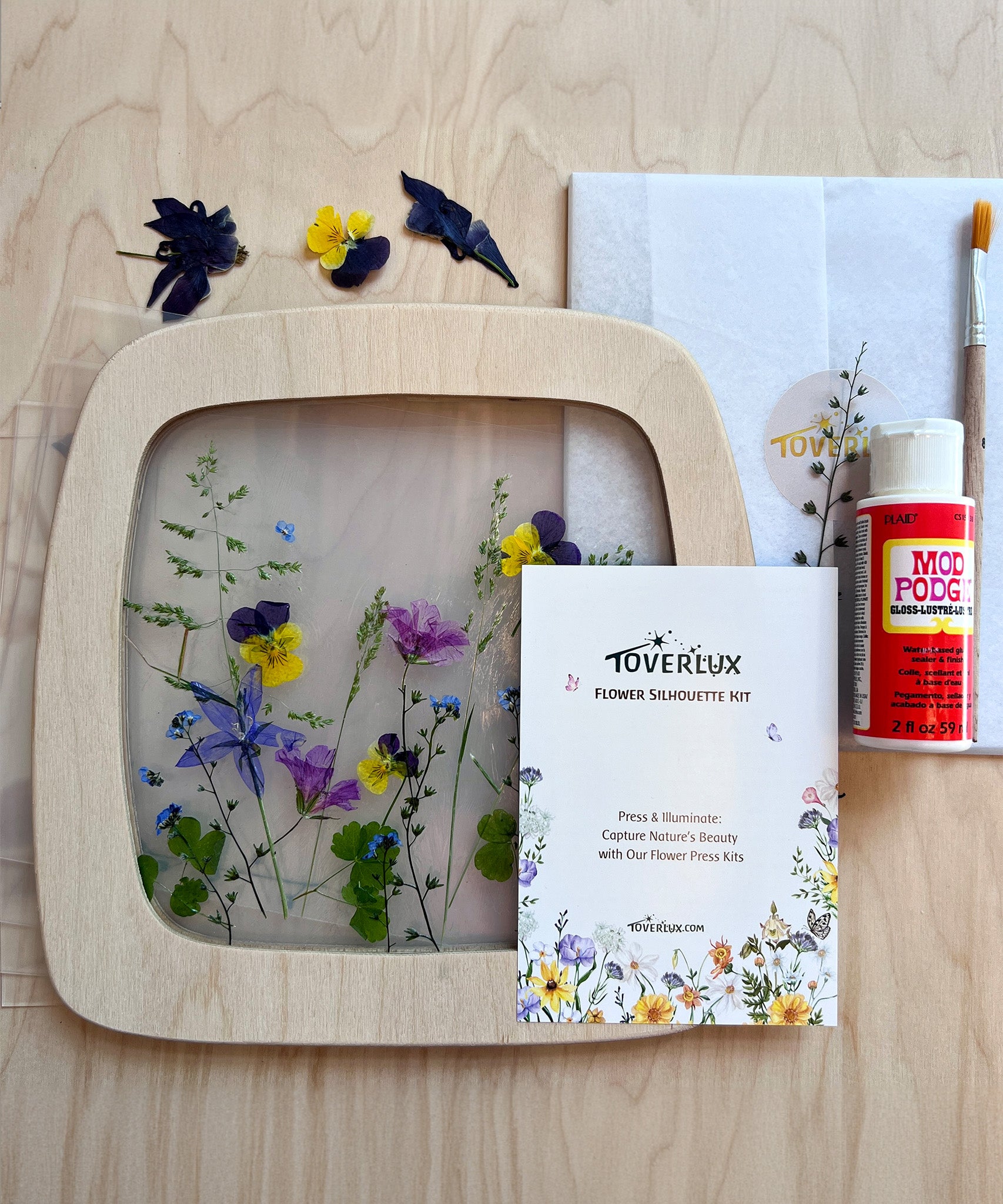 The contents of the Toverlux Flower Silhouette Kit