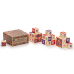 Uncle Goose Wooden Hindi Language Blocks