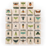 Blocs d'insectes en bois Uncle Goose