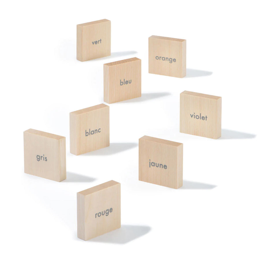 Uncle Goose kids wooden French language learning blocks scattered on a white background