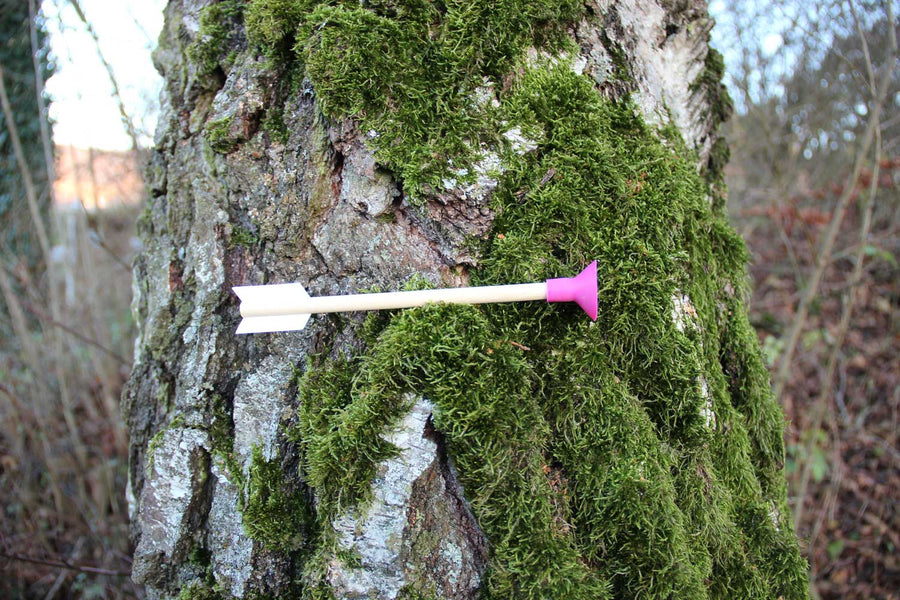 vah crossbow safety arrow with a pink tip pictured in a tree