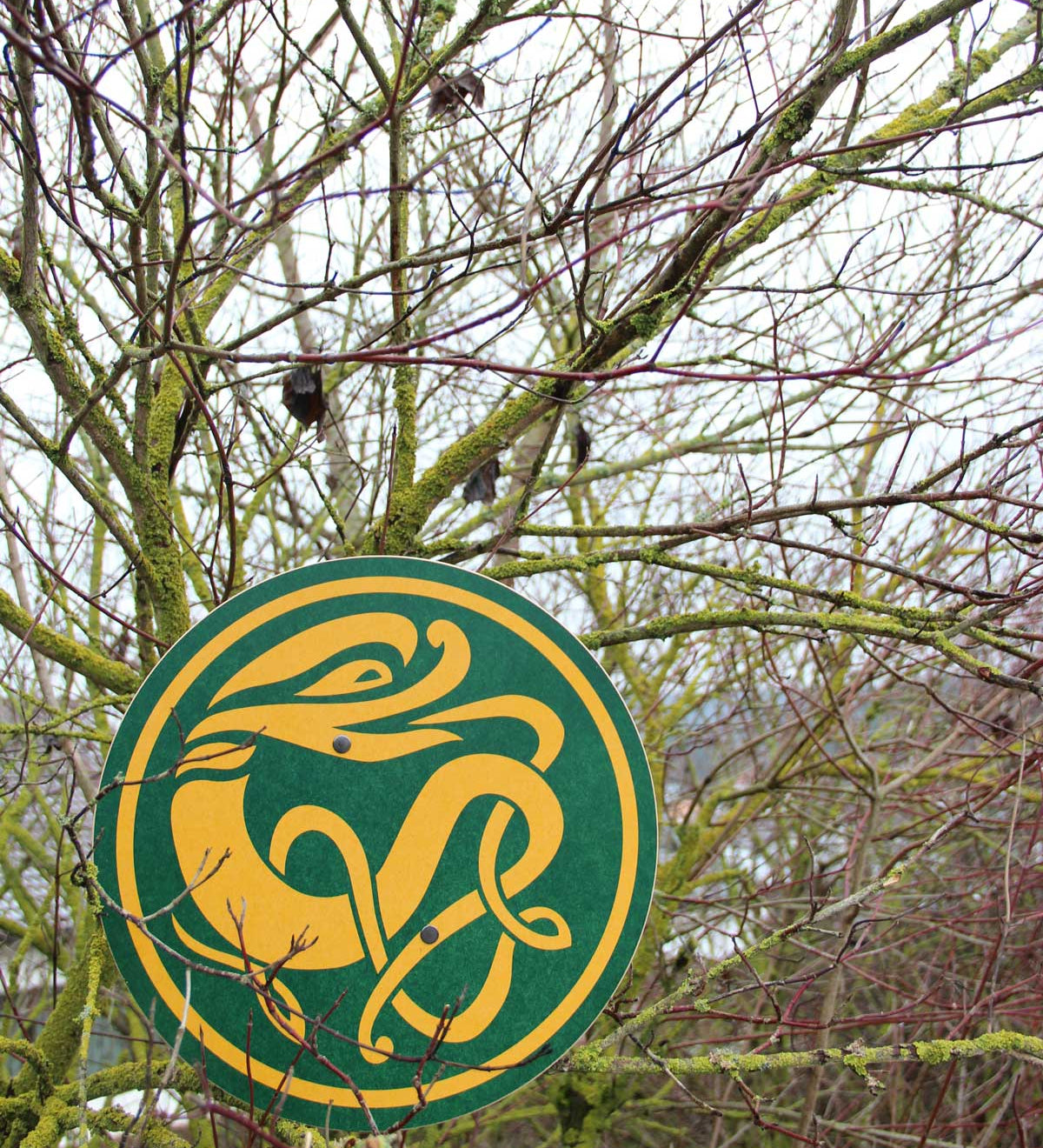 Vah Celtic Sigar Wooden Toy Shield placed on tree branches