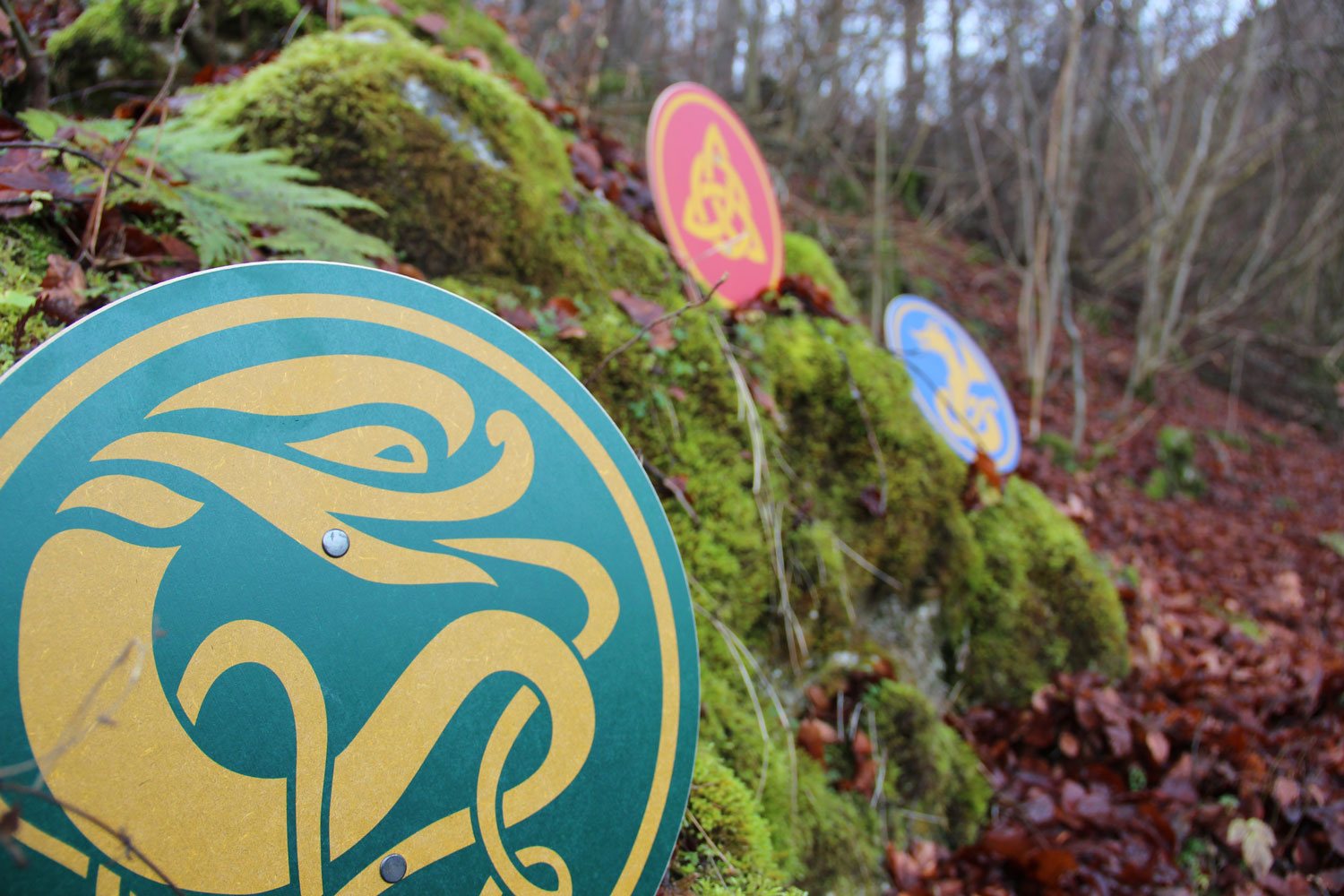 Vah Celtic Sigar Wooden Shield pictured outdoors with 2 other Celtic shields in the background