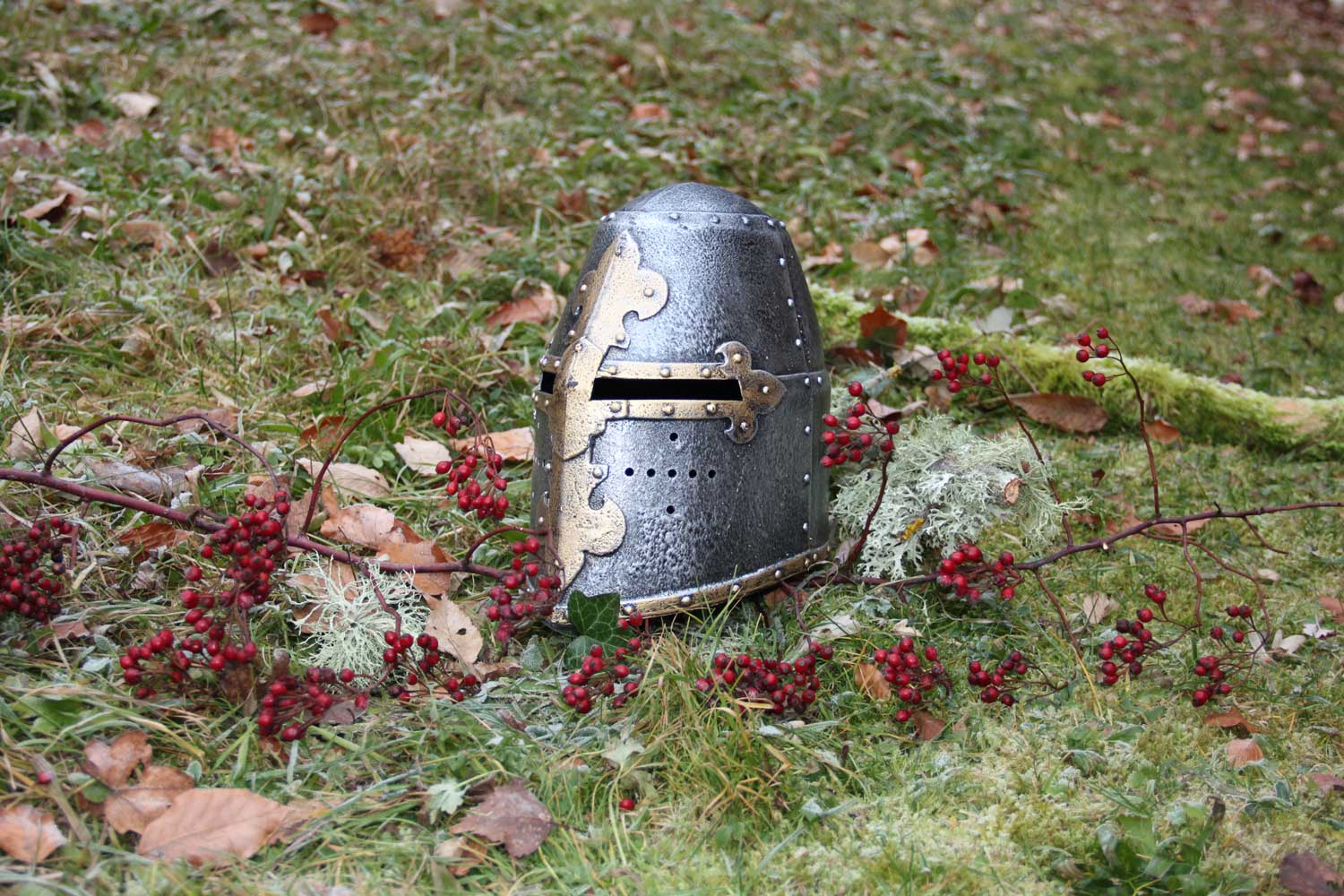 Vah Crusader Helmet pictured on the grass behind a branch with red berries