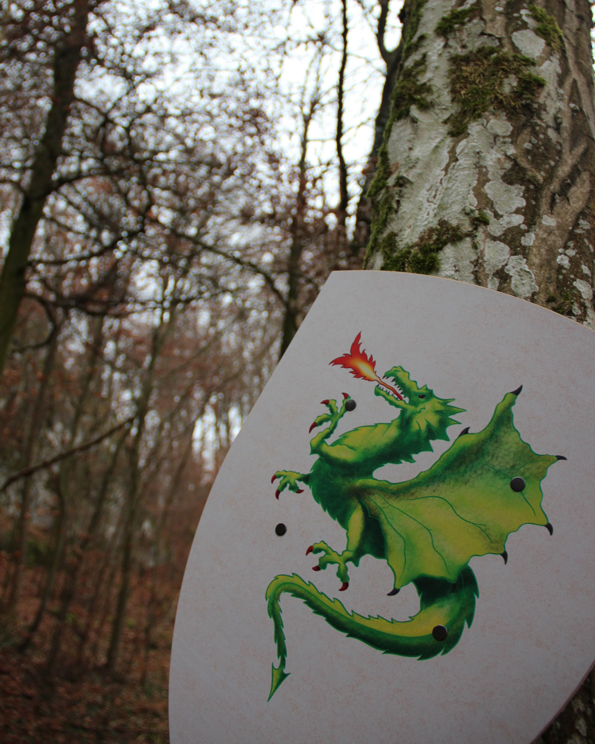 Vah Green Dragon Creative Wooden Shield pictured placed against tree outdoors