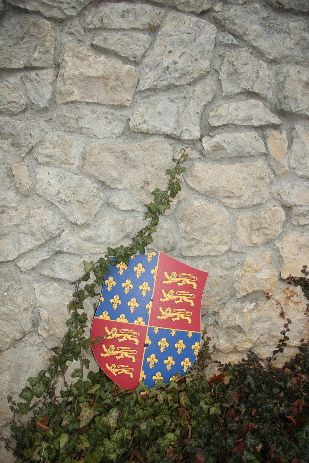 Vah Edward Wooden Shield pictured outdoors leaning against a stone wall that has ivy growing on it