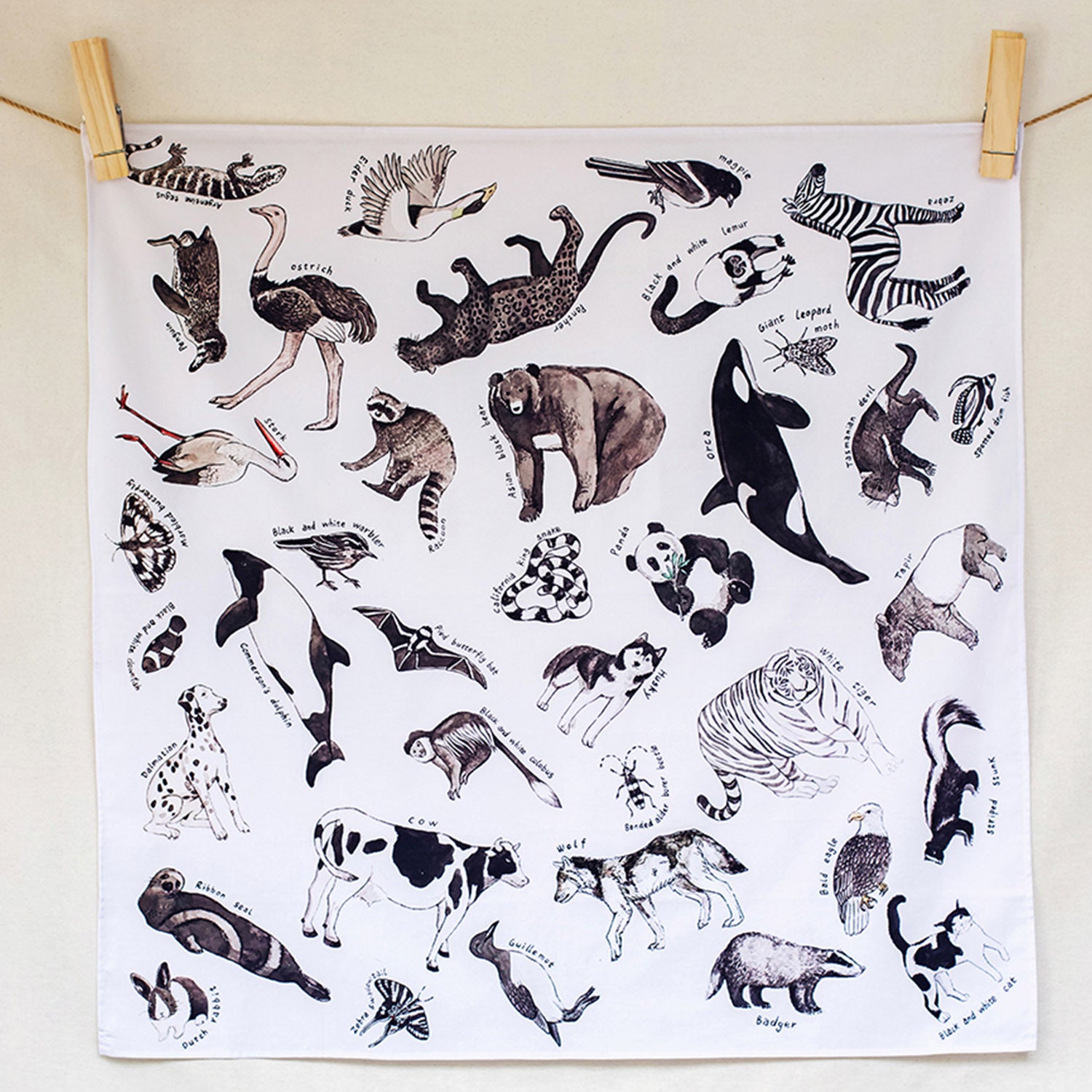 Wonderie Play Cloth - Animal-Kingdom. The cloth is pegged onto a string against a plain wall.