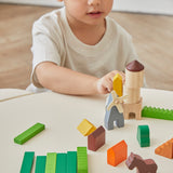 PlanToys Wooden Country Blocks