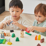 PlanToys Wooden Country Blocks