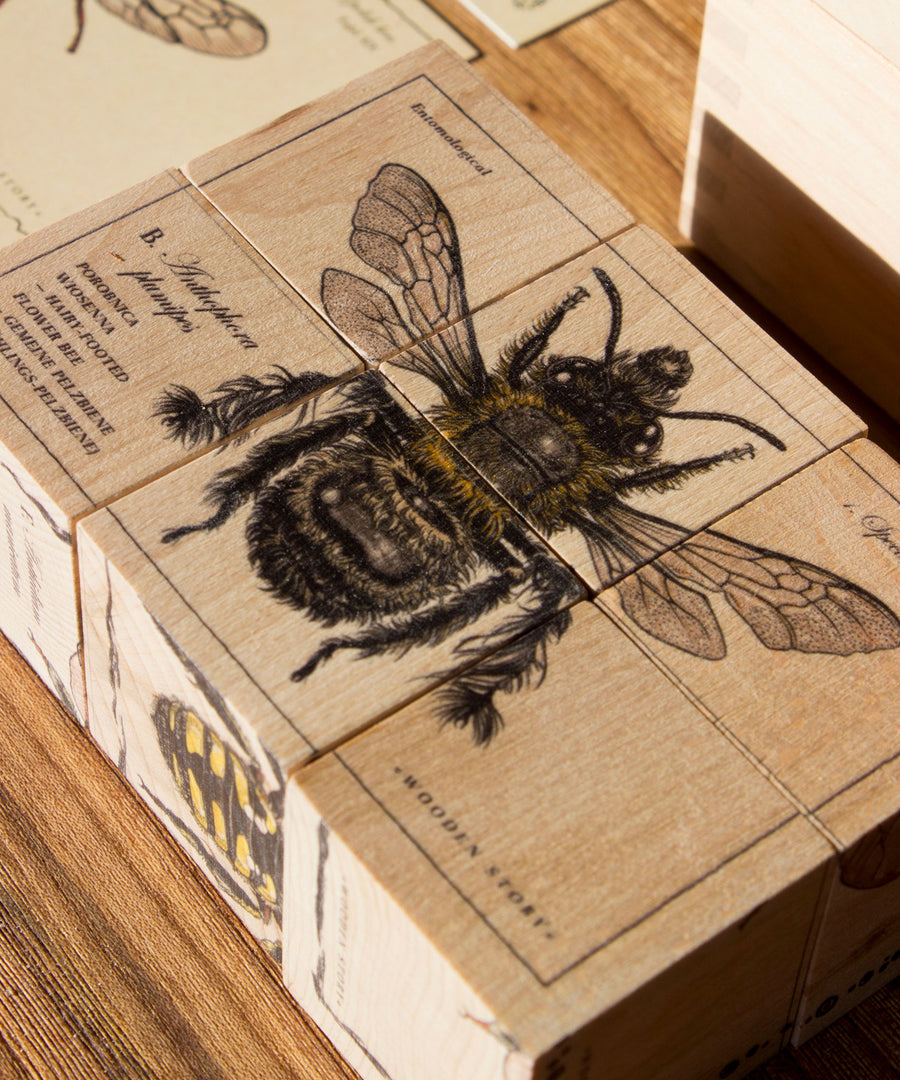 A close up of the blocks from the Wooden Story bee species story blocks set. Each side of each block features part of an illustration of different bee species. The blocks can be turned around to form a full illustration of the bee. 