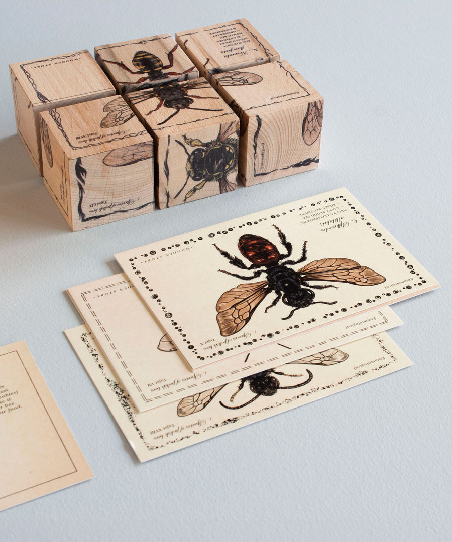 A close up of the cards and blocks that come in the Wooden Story Species of Bees Story Blocks set.