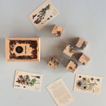 Wooden Story Puzzle Blocks - Plants