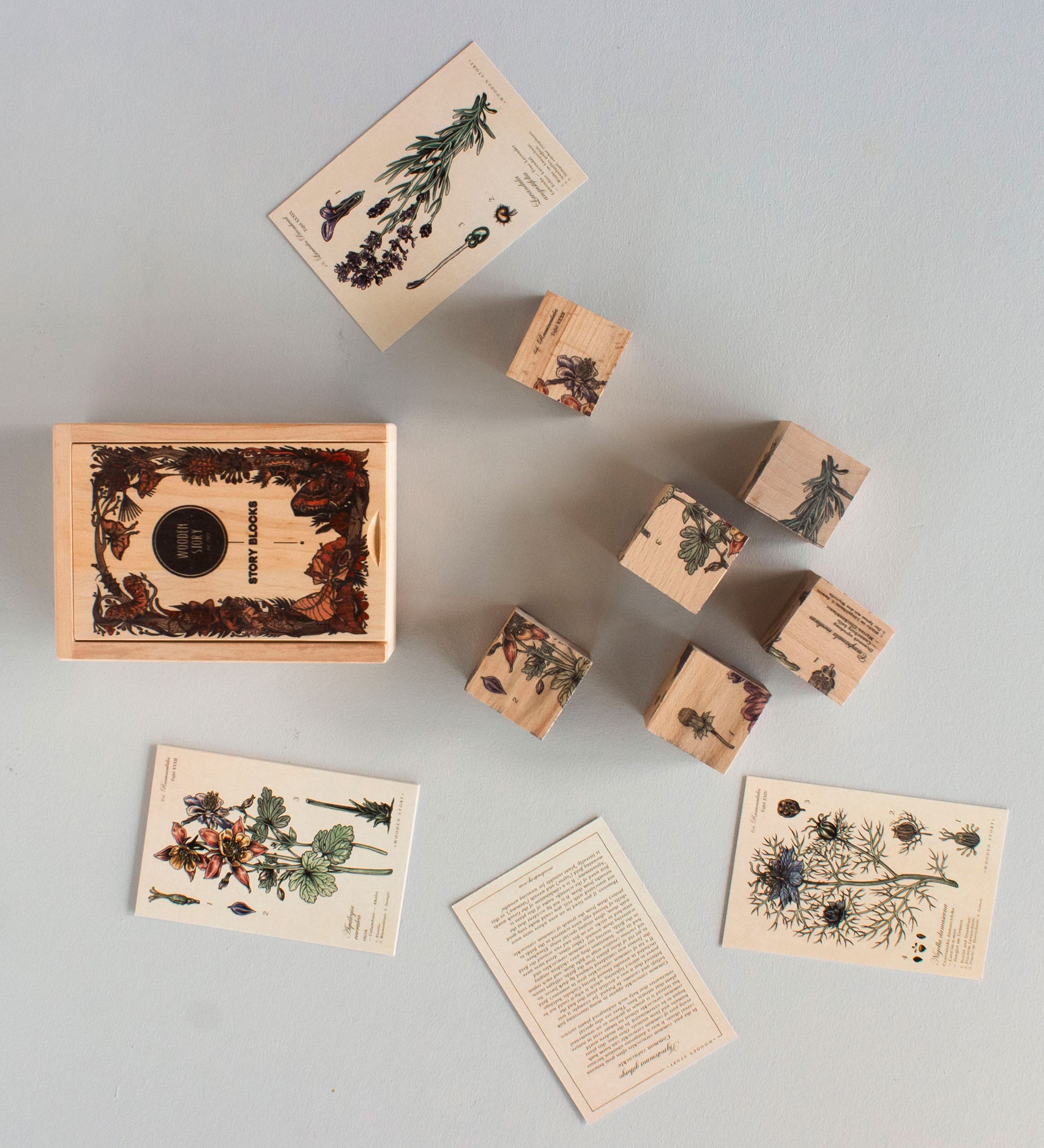 A flat lay of the pieces included in the Wooden Story Melliferous Plants Story Blocks. 