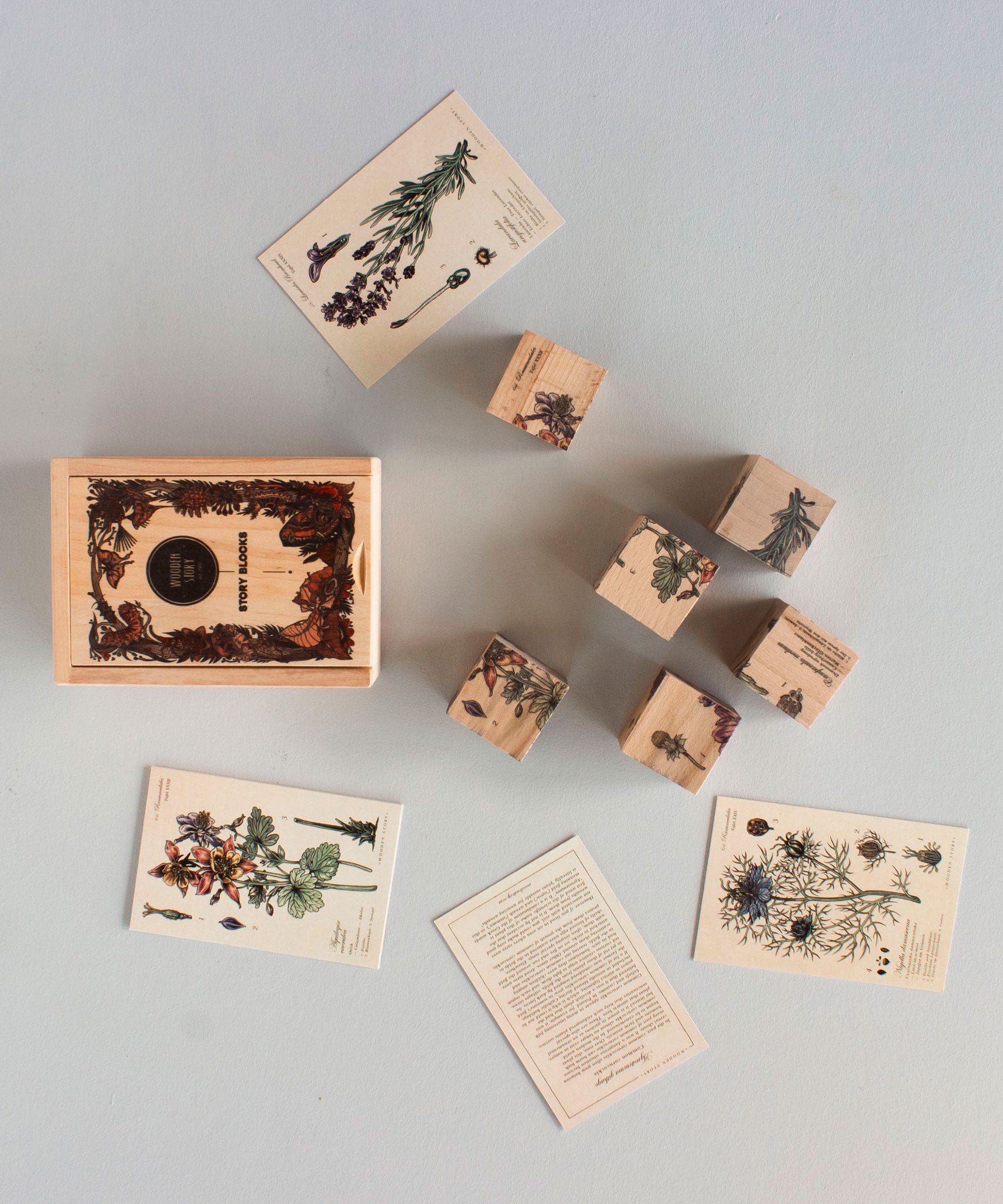 A flat lay of the pieces included in the Wooden Story Melliferous Plants Story Blocks. 