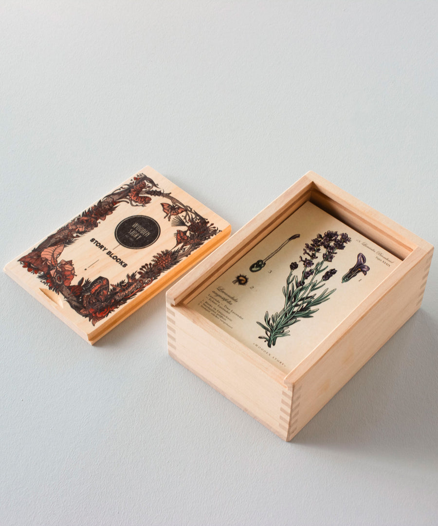 The Wooden Story Melliferous Plants Story Blocks set shown with the contests inside the wooden box without the lid. 