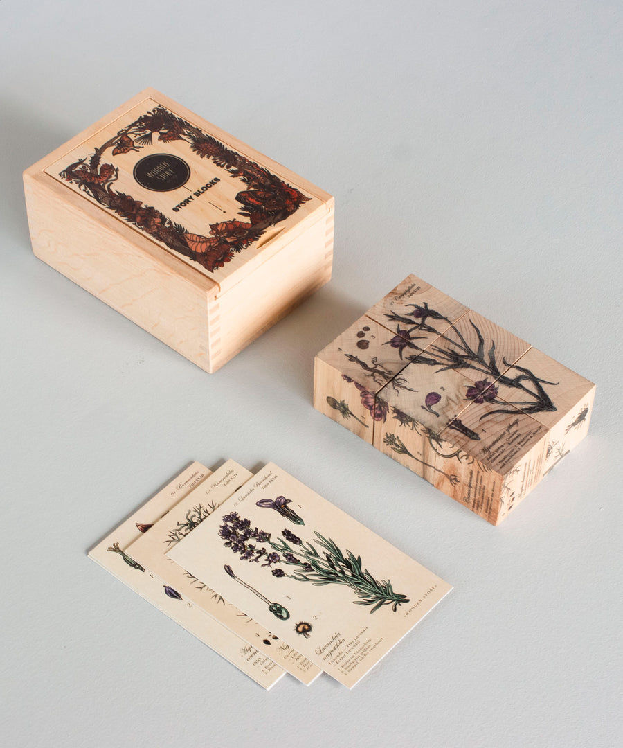 Wooden Story Melliferous Plants Story Blocks on a plain background. The blocks are card have been placed besides the closed wooden box that they come in. 