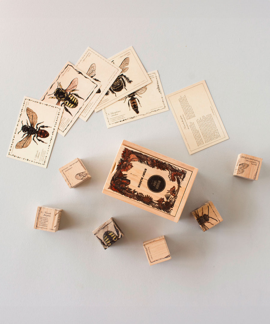 The pieces from the Wooden Story Species of Bees Story Blocks set laid out on a white surface around to the wooden box that they come in. 